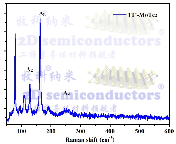 1T\'-MoTe2-5.jpg