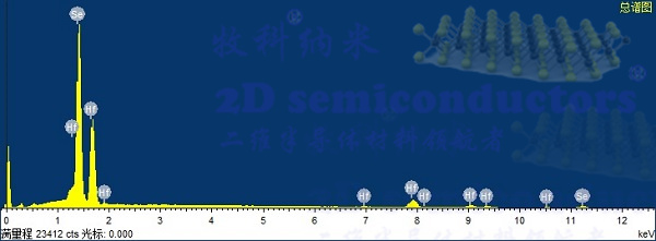 图片1-带水印.jpg